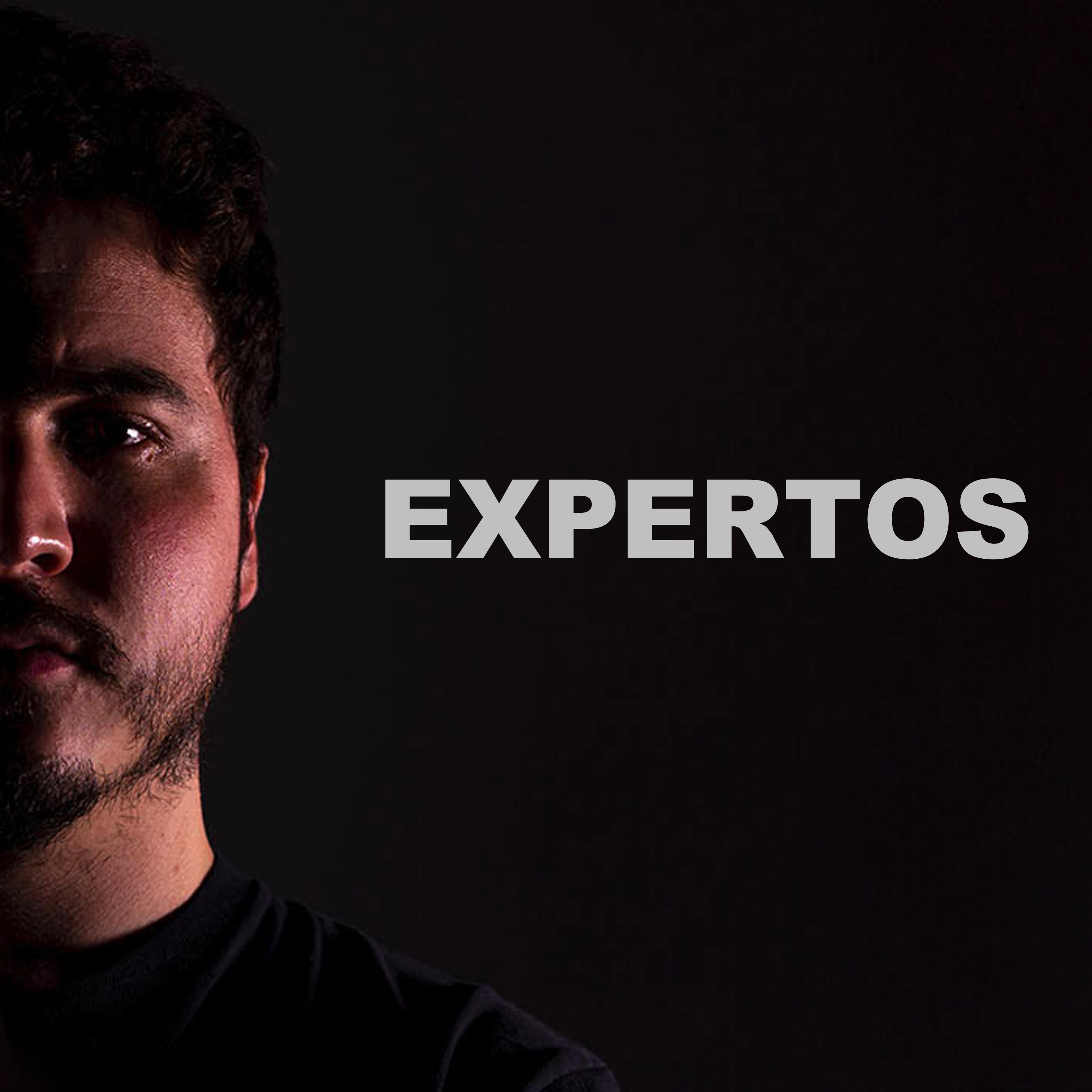 Expertos
